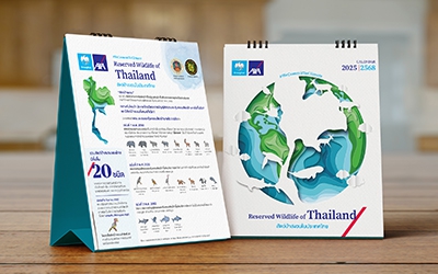 Krungthai-AXA : Graphic Design for Calendar Set